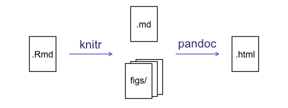 plot of chunk rmd_to_html_fig