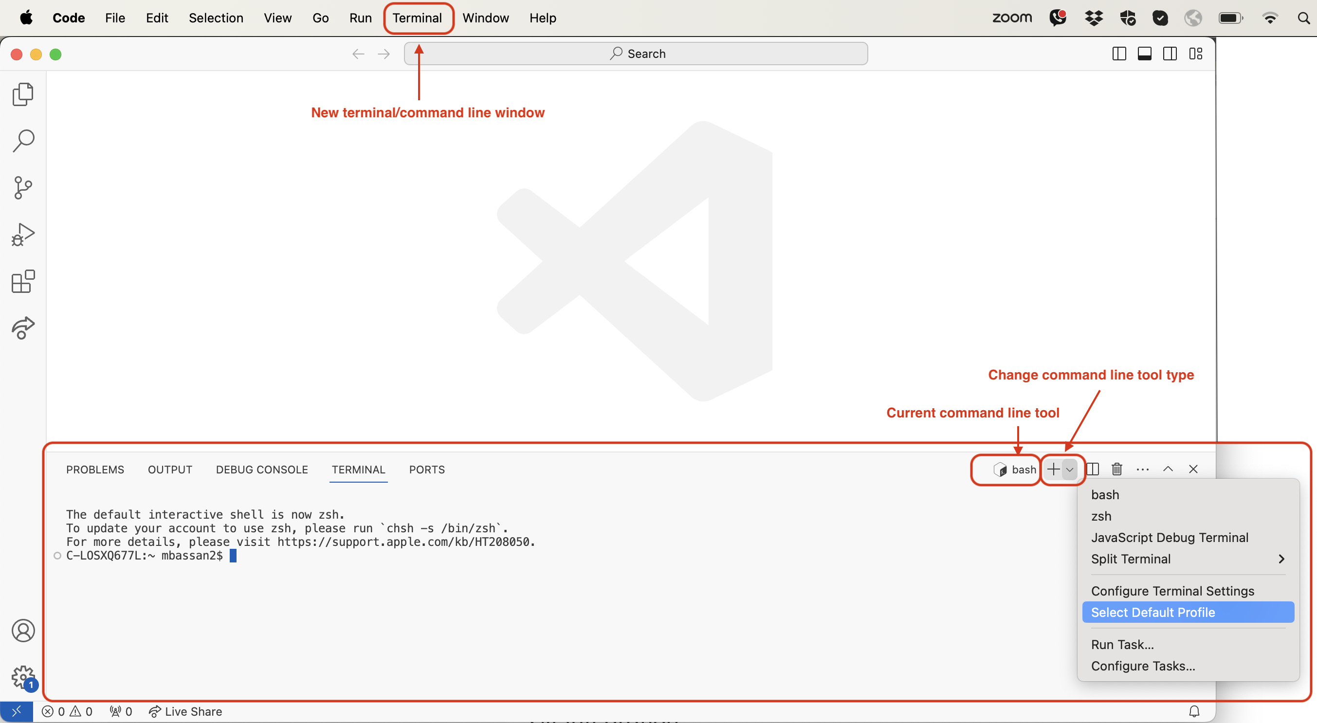 Screenshot of the terminal pane in VS Code highlighting the current terminal type and dropdown menu to open a new terminal with 'Select Default Profile' option highlighted in the menu
