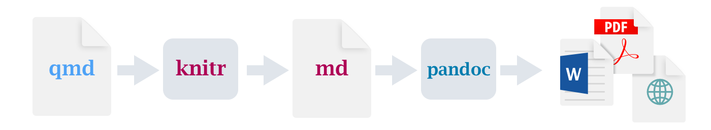 The 'rendering' process: First, **Quarto file is converted to Markdown, which is then converted** (via pandoc) to .html, .pdf, .docx, etc.